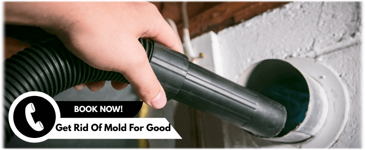 Air Duct Mold Removal in Paradise Valley AZ